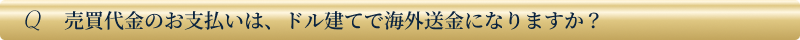 売買代金のお支払いは、ドル建てで海外送金になりますか？